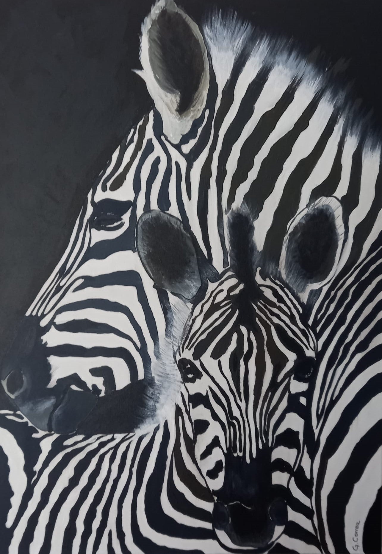 "Cebras" - Graciela Correa 50 x 70 cm.